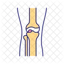 Os et articulations des jambes  Icône