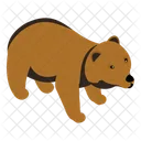 Oso  Icono