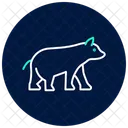 Oso  Icono