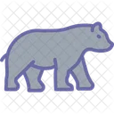 Oso Grizzly Fauna Icono