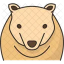 Oso Polar Animal Icono