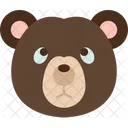 Oso  Icono