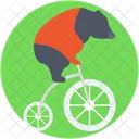 Oso Bicicleta Animales Icono