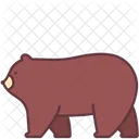 Oso grizzly  Icono