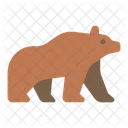 Oso Grizzly Animal Salvaje Icono