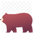 Oso grizzly  Icono