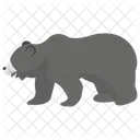 Oso  Icono