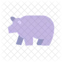 Oso Polar Animal Oso Icon