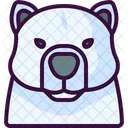 Oso polar  Icon