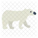 Oso polar  Icon