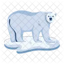 Oso Polar Criatura Salvaje Animal Oso Icono