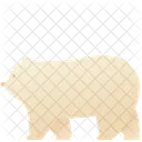 Zoologico Animal Polar Icono
