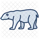Oso Polar Animal Fauna Icono