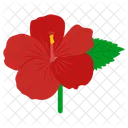 Oso Zuni Flor Petalos Icon