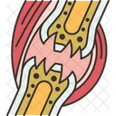 Osteoarthritis  Icon
