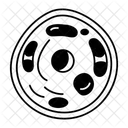 Osteoblasten Skelett Ossifikation Symbol