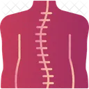 Osteotherapy Chiropractic Chiropractor Icon