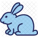 Ostern Osterhase Osterhase Icon