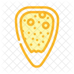 Ostreopsis  Icon