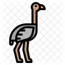 Ostrich Bird Zoo Icon