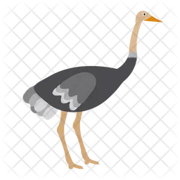 Ostrich  Icon