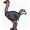 Ostrich Bird Emu Icon