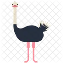 Ostrich Animal Wild Animal Icon