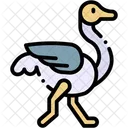 Ostrich Animal Wildlife Icon