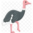 Ostrich  Icon