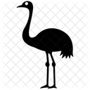 Ostrich Largest Bird Flightless Creature Icon