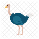 Ostrich Flat Icône