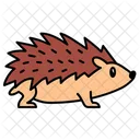 Ourico Animal De Estimacao Mamifero Ícone