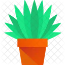 Outdoor Plant House Plant Plant Icon