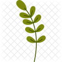 Oval Leaf Plant Spring Nature Icon