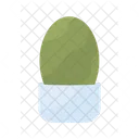 Oval potted bush  Icon