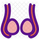 Ovarian Icon