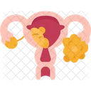 Ovarian  Icon