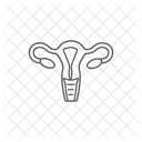 Ovaries  Icon