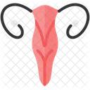 Ovaries Gynecology Ovary Icône