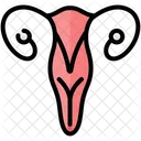 Ovaries Gynecology Ovary Icône