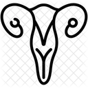 Ovarium Icon