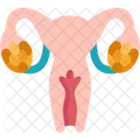 Ovary Ovulation Female Icon