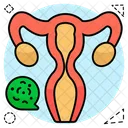 Ovary Female Reproductive Organ Fallopian Tube Icon