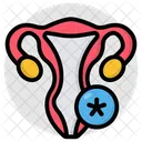 Ovary Female Reproductive Organ Fallopian Tube Icon