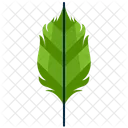 Ovate Greenery Leaf Icon