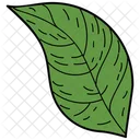 Ovate Leaf Leaf Foliage Icon