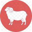 Ovejas Animales Animal Icon