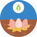 Ovos  Icon