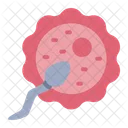 Ovulation Spermatozoide Ovule Icône