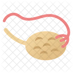 Ovulation System  Icon